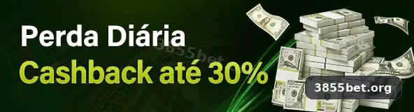 3855bet ambiente 2